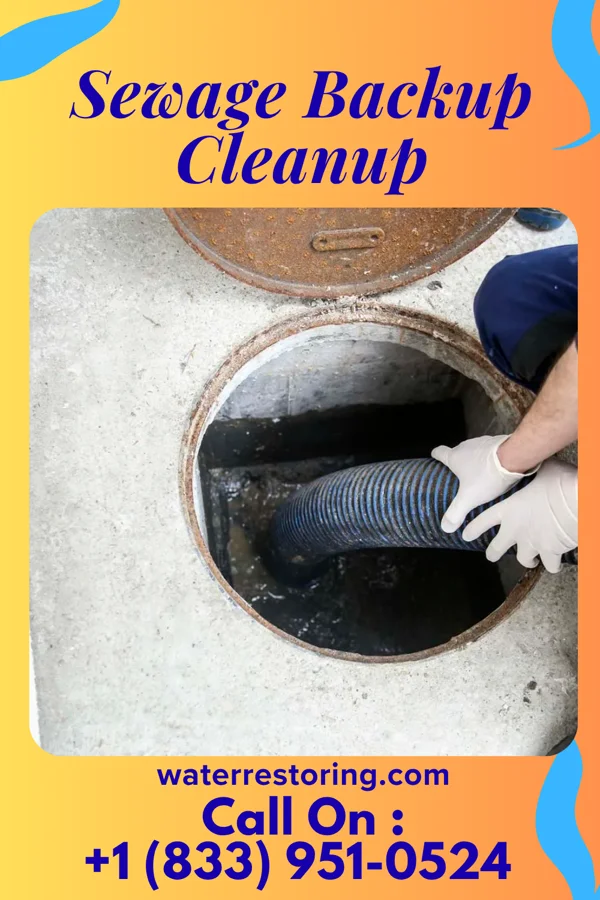 Sewage Backup Cleanup in Kingston, IL