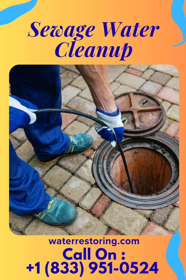 Sewage Water Cleanup in Kingston, IL