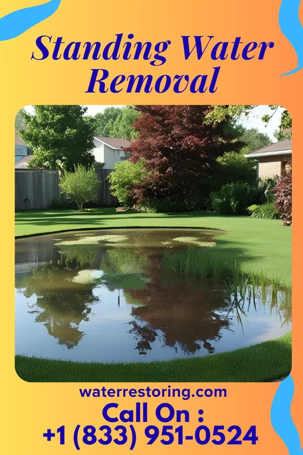 Standing Water Removal in Kingston, IL
